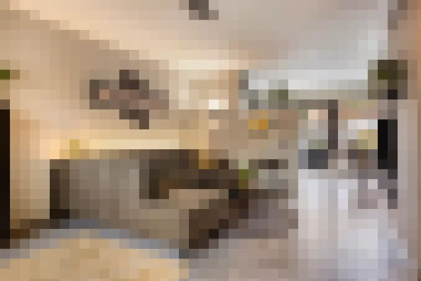 Rode Beuk 10 Halsteren thumbnail 10