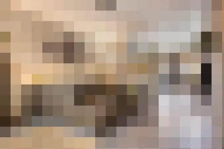 Rode Beuk 10 Halsteren thumbnail 10