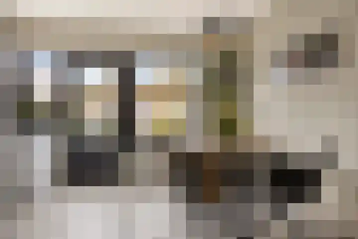 Rode Beuk 10 Halsteren thumbnail 11