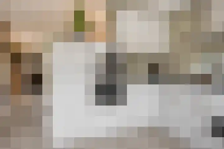 Rode Beuk 10 Halsteren thumbnail 13