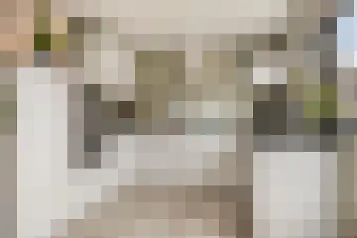 Rode Beuk 10 Halsteren thumbnail 14