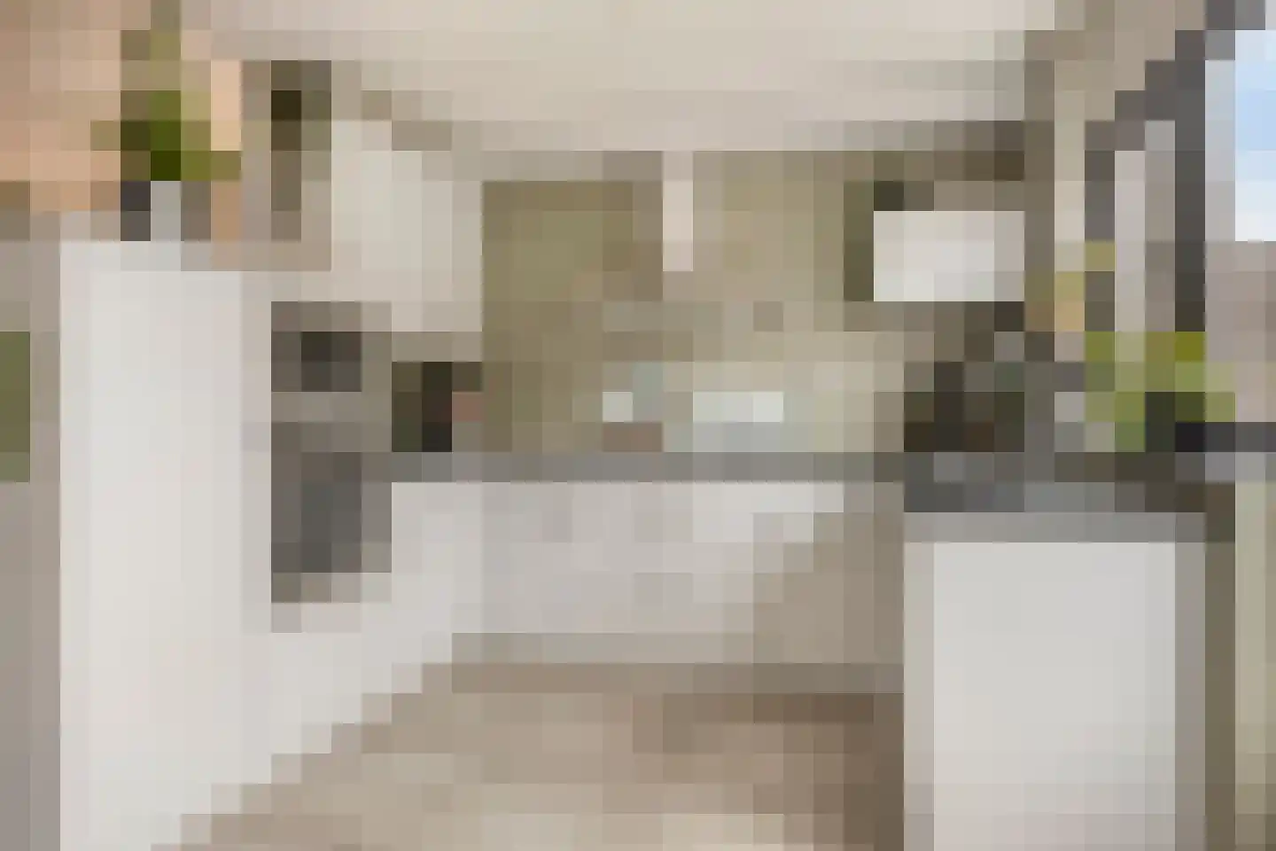 Rode Beuk 10 Halsteren thumbnail 14