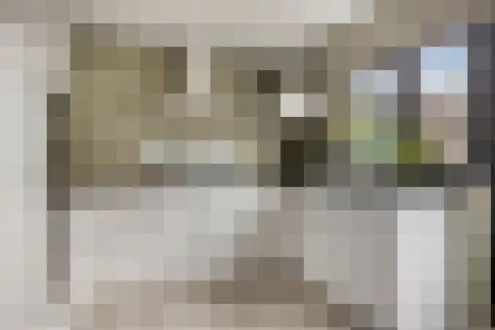 Rode Beuk 10 Halsteren thumbnail 15
