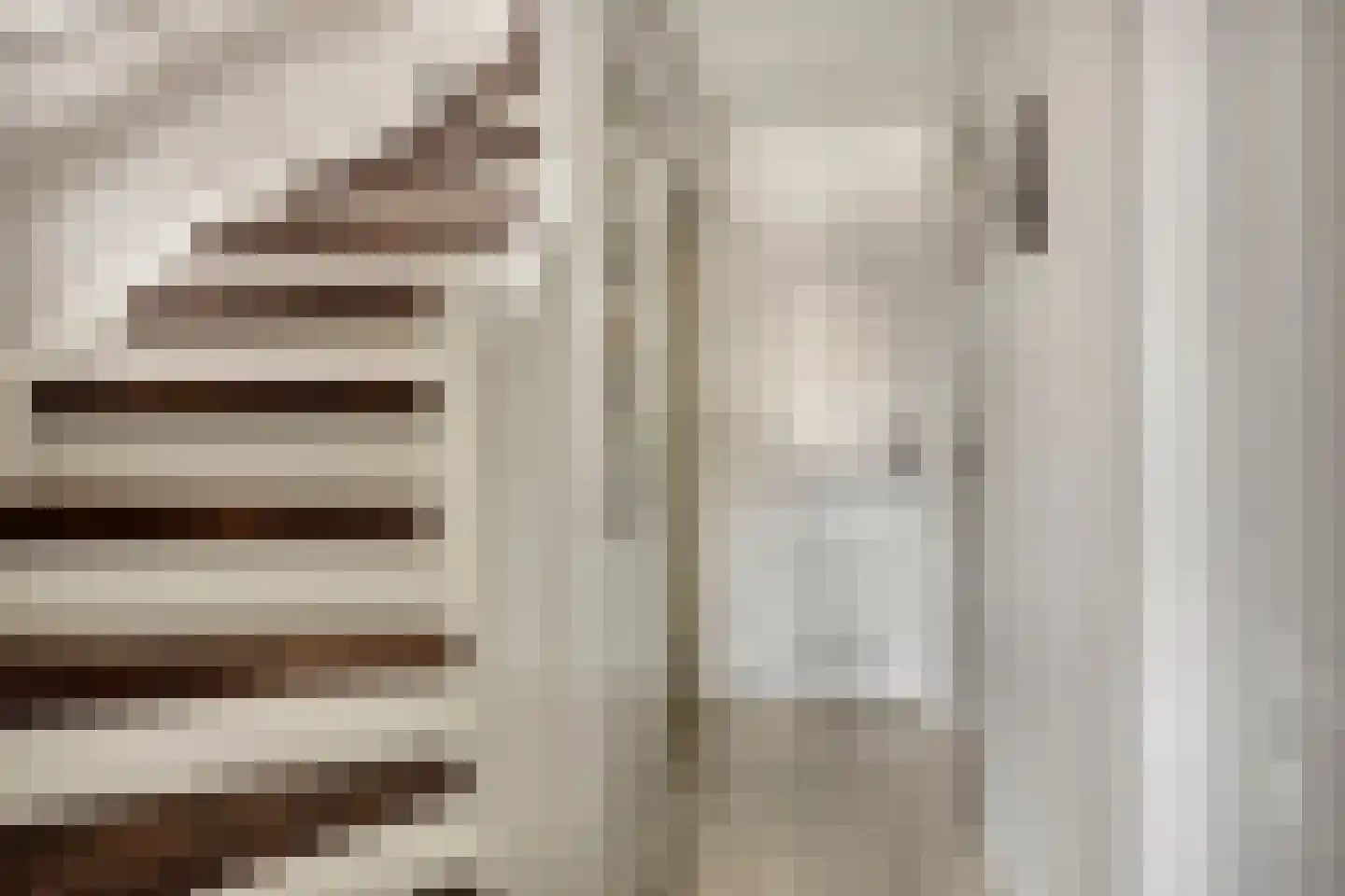 Rode Beuk 10 Halsteren thumbnail 16