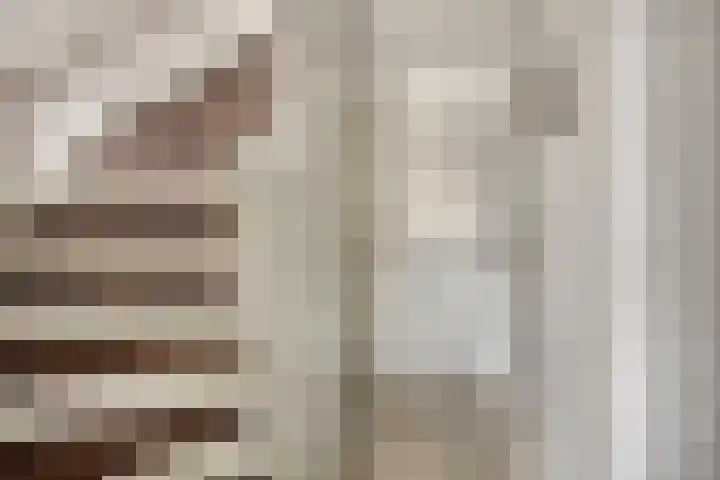 Rode Beuk 10 Halsteren thumbnail 16