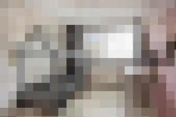Rode Beuk 10 Halsteren thumbnail 19
