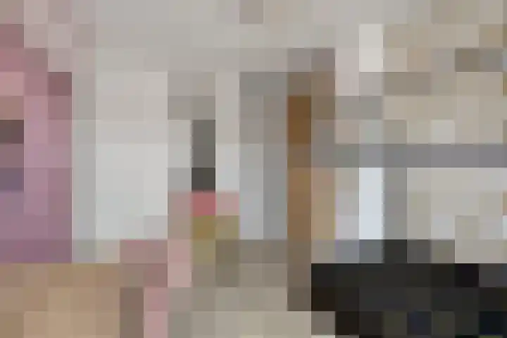 Rode Beuk 10 Halsteren thumbnail 20