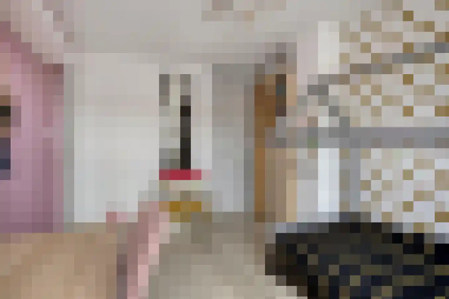 Rode Beuk 10 Halsteren thumbnail 20