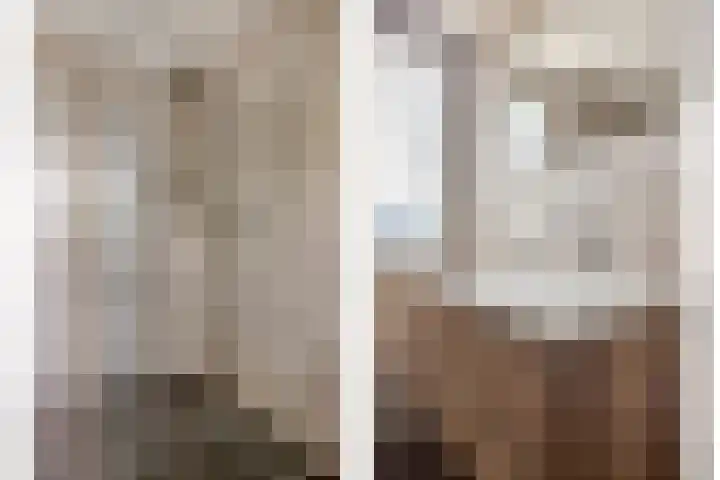 Rode Beuk 10 Halsteren thumbnail 24