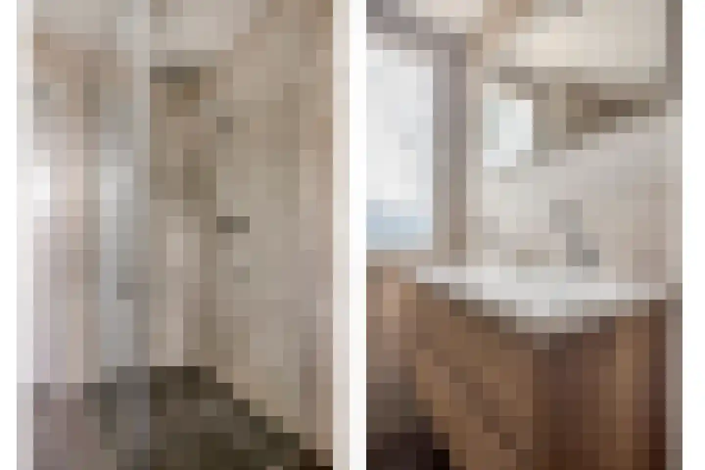 Rode Beuk 10 Halsteren thumbnail 24