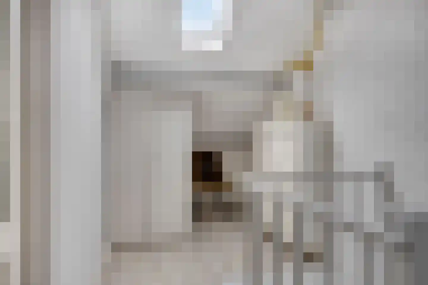 Rode Beuk 10 Halsteren thumbnail 25