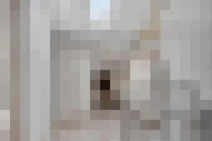 Rode Beuk 10 Halsteren thumbnail 25