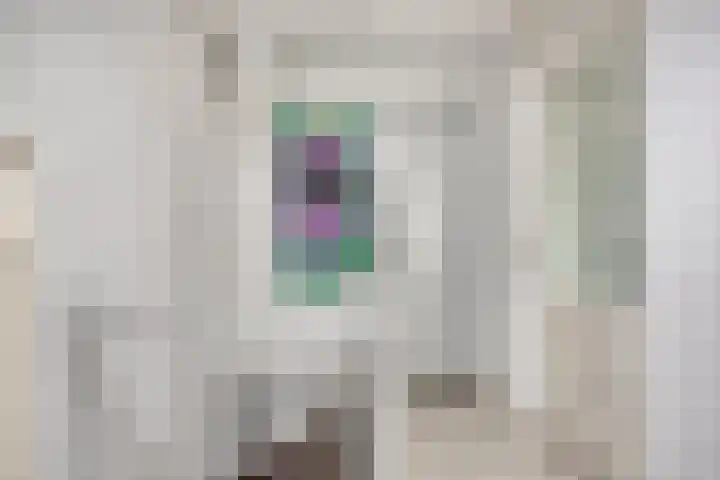 Rode Beuk 10 Halsteren thumbnail 26
