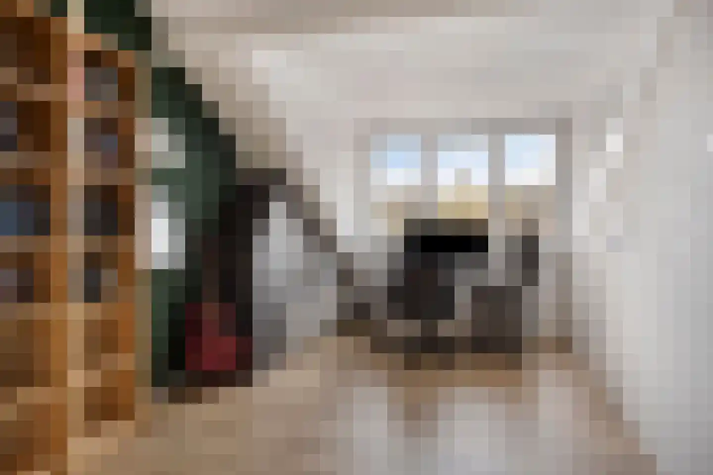 Rode Beuk 10 Halsteren thumbnail 28