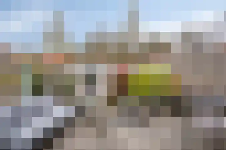 Rode Beuk 10 Halsteren thumbnail 29