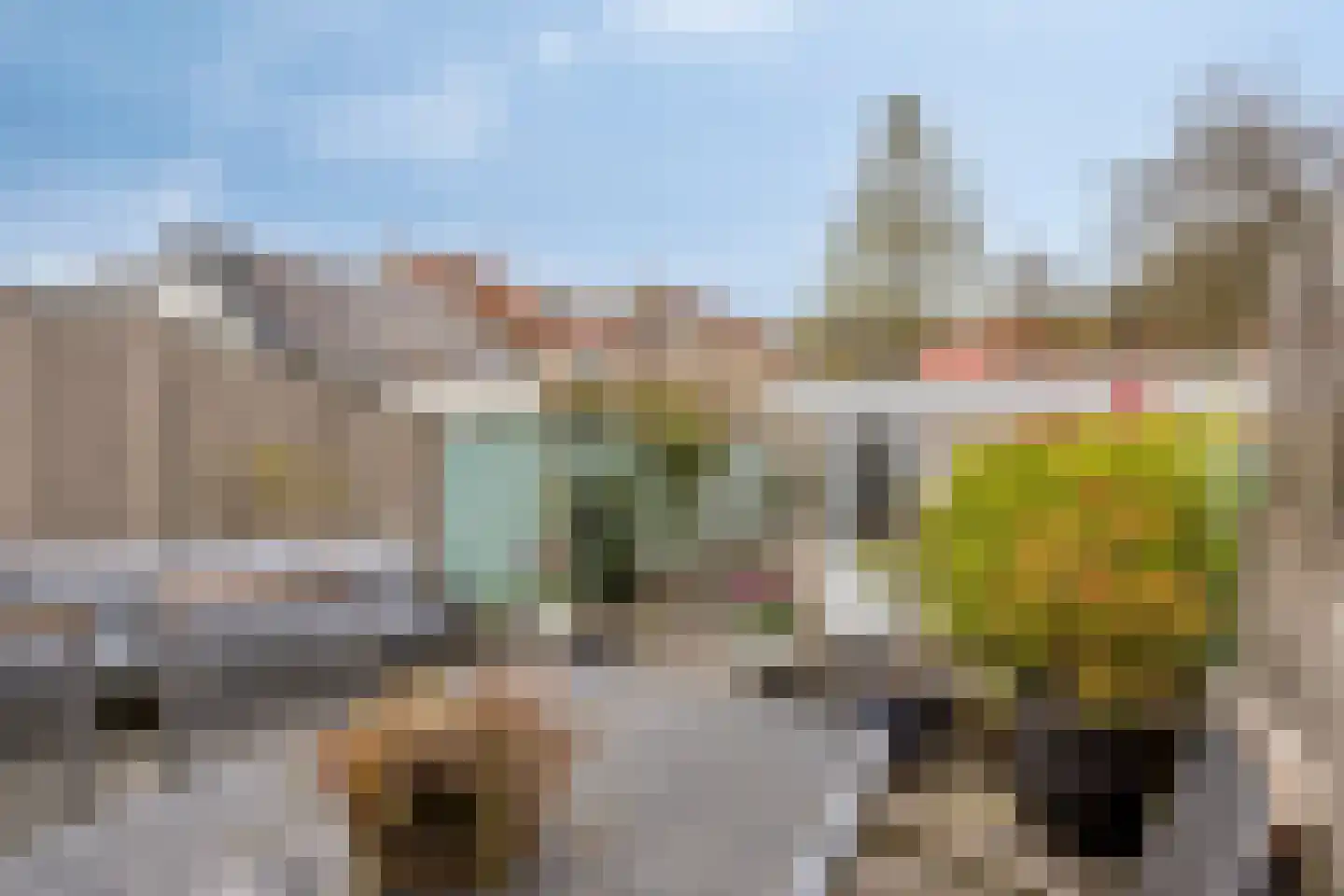 Rode Beuk 10 Halsteren thumbnail 30