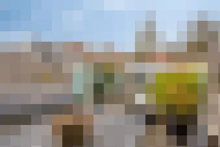 Rode Beuk 10 Halsteren thumbnail 30