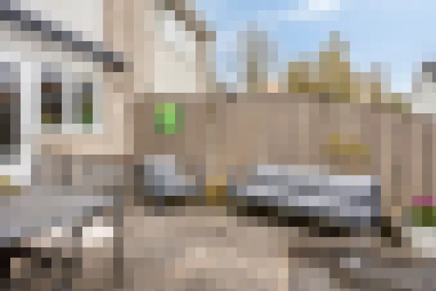 Rode Beuk 10 Halsteren thumbnail 31