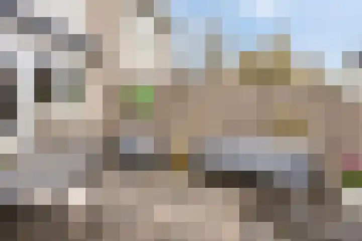 Rode Beuk 10 Halsteren thumbnail 31