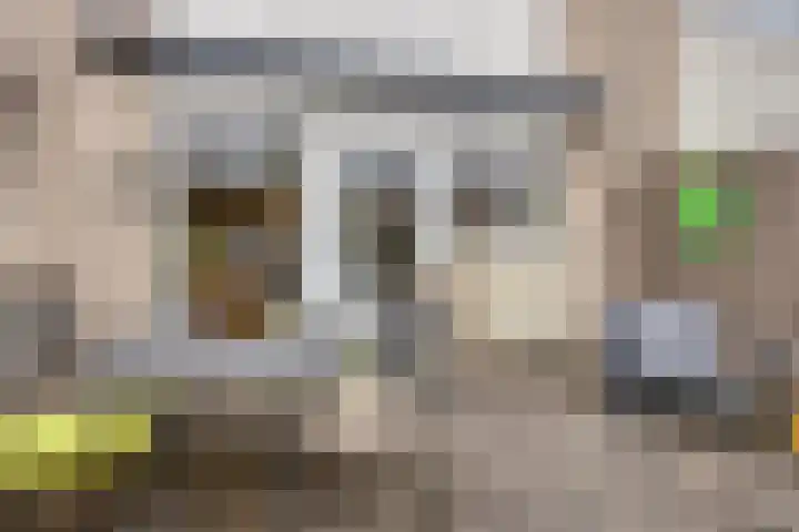 Rode Beuk 10 Halsteren thumbnail 32
