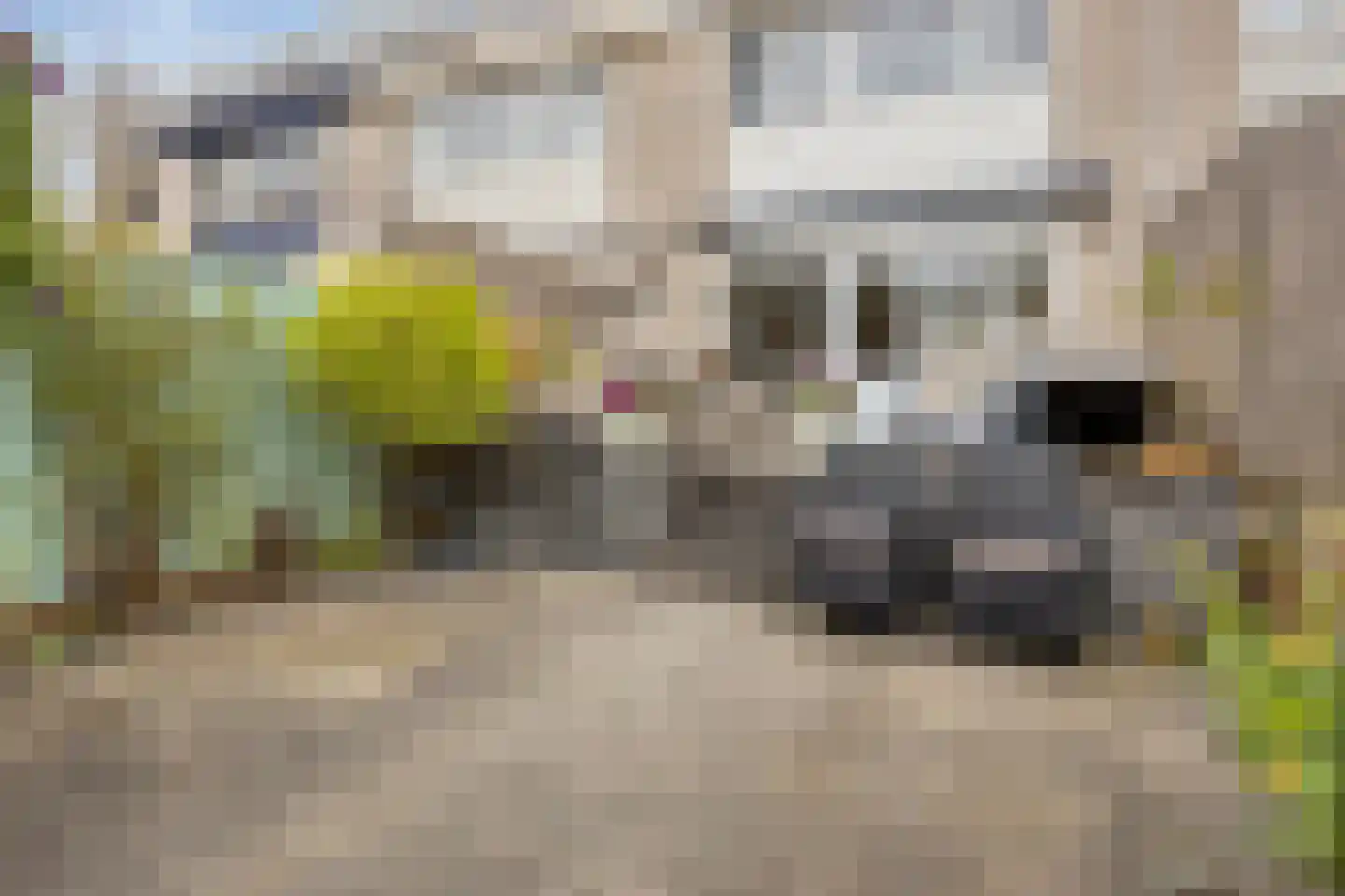 Rode Beuk 10 Halsteren thumbnail 33