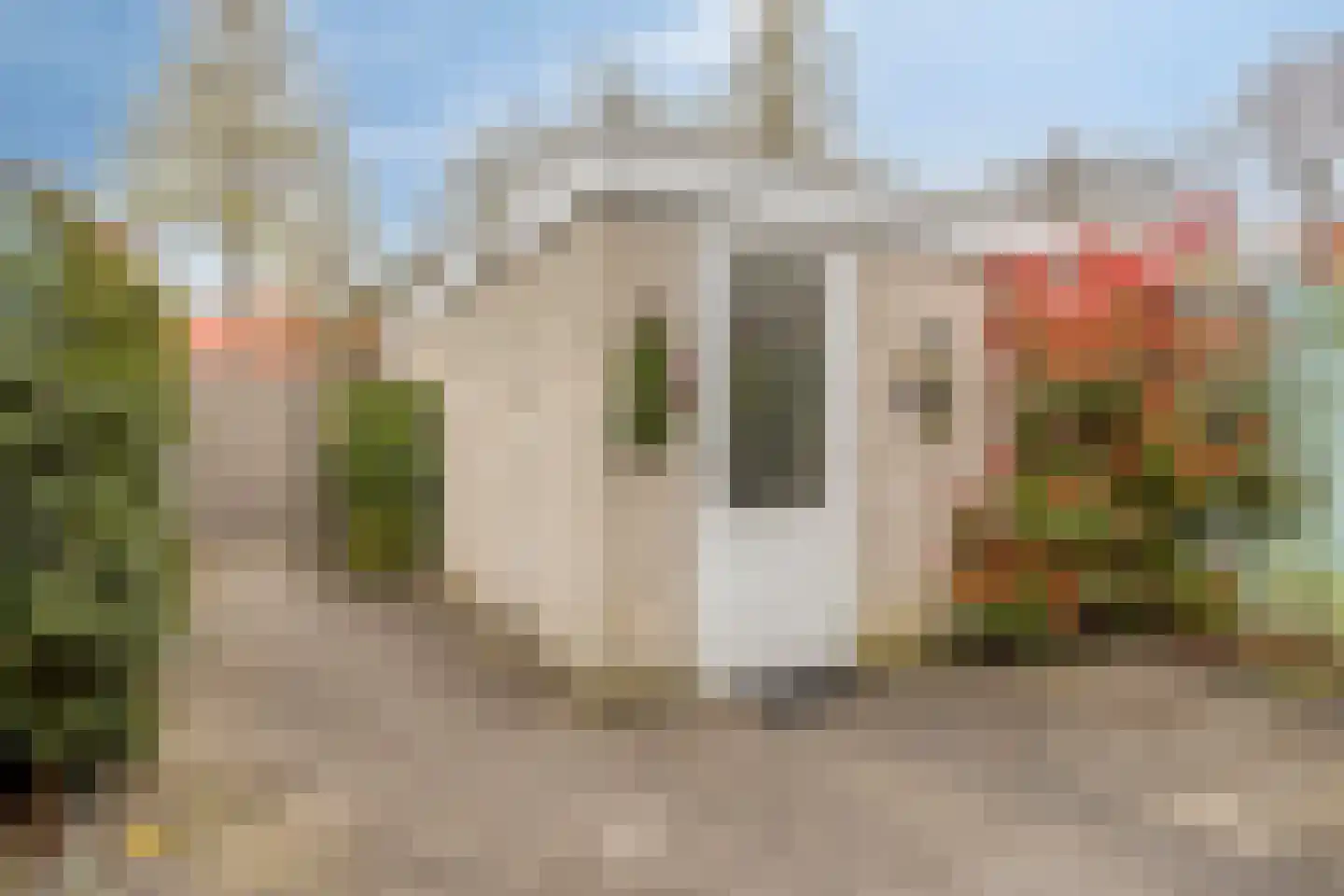 Rode Beuk 10 Halsteren thumbnail 35