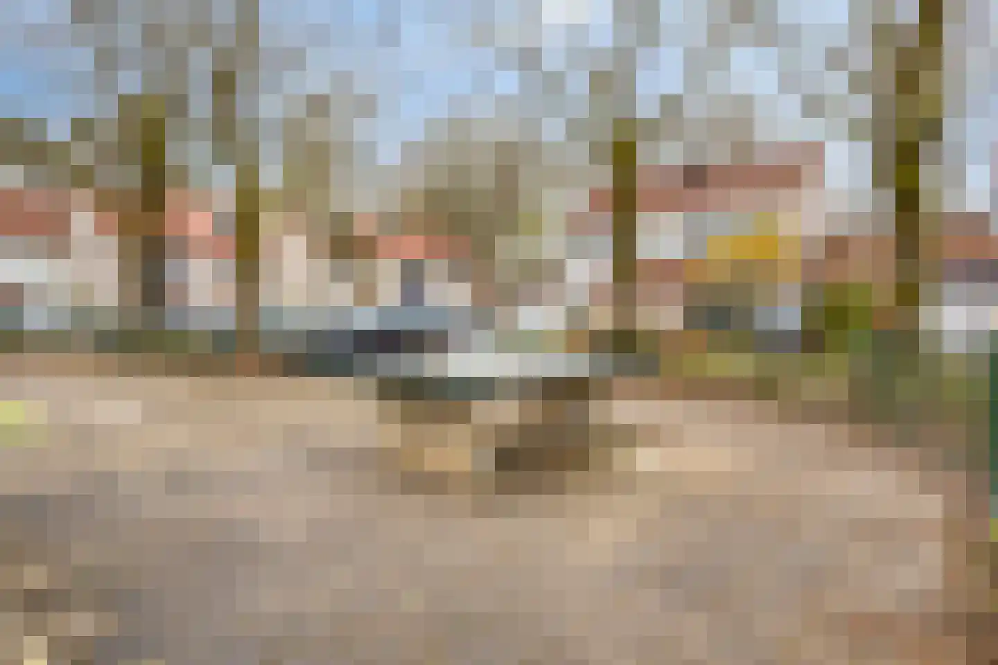 Rode Beuk 10 Halsteren thumbnail 37