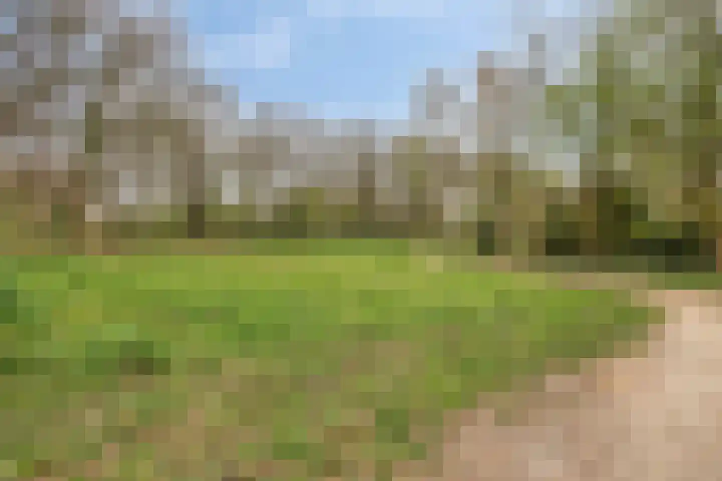 Rode Beuk 10 Halsteren thumbnail 39
