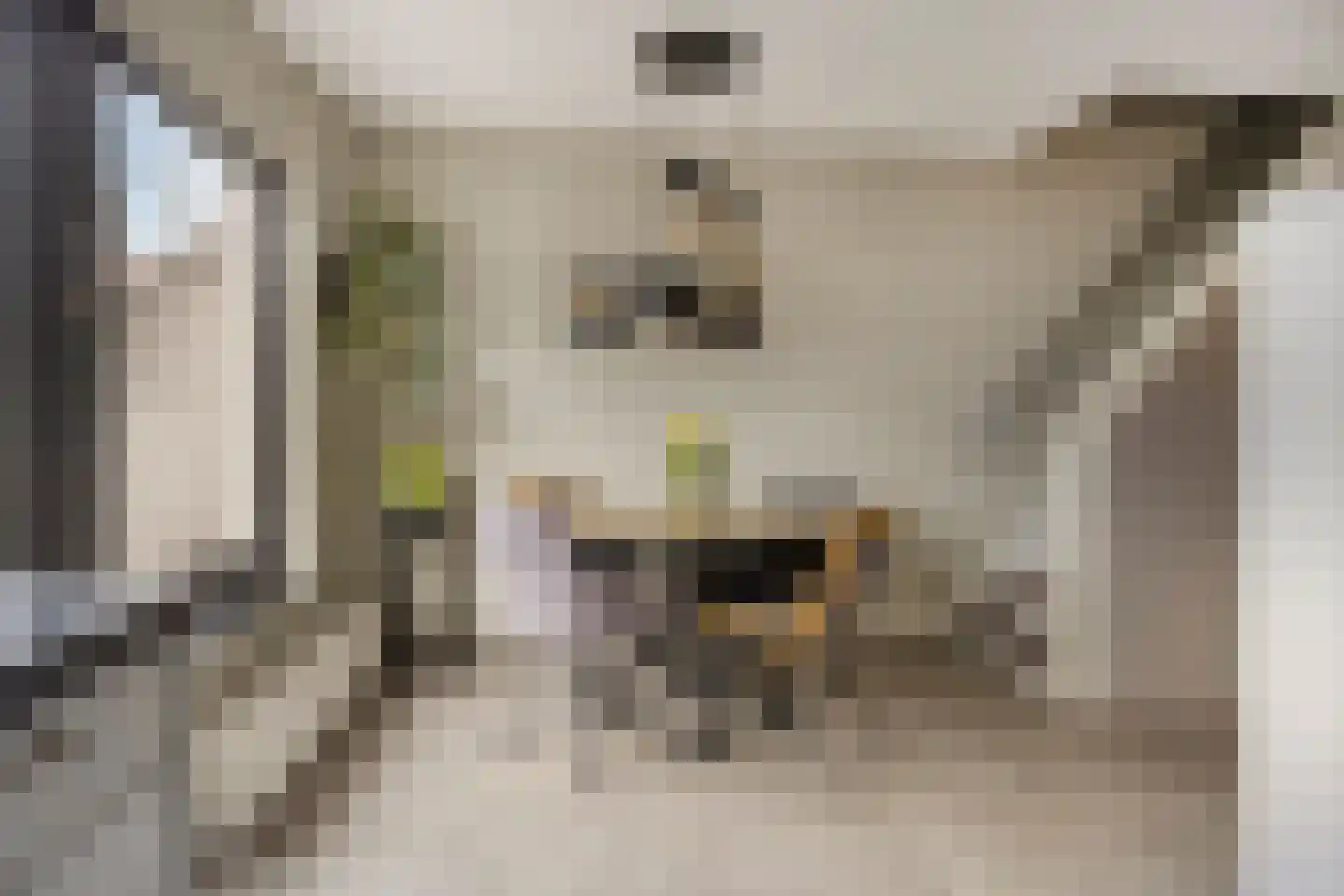 Rode Beuk 10 Halsteren thumbnail 4