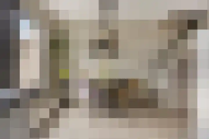 Rode Beuk 10 Halsteren thumbnail 4