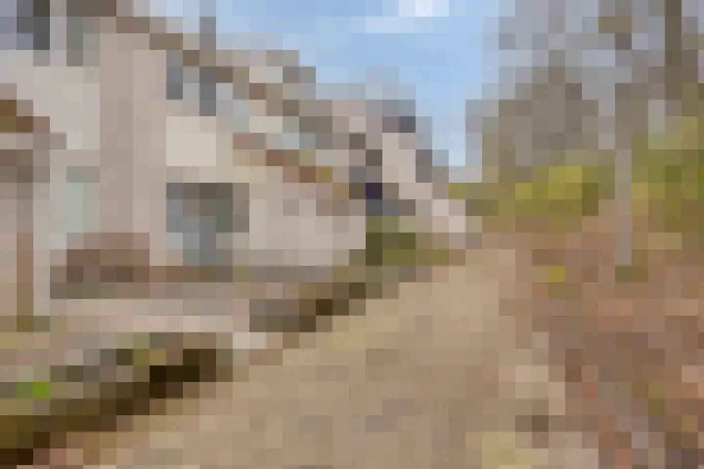 Rode Beuk 10 Halsteren thumbnail 40