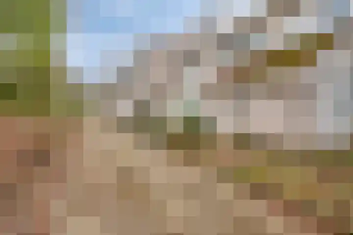 Rode Beuk 10 Halsteren thumbnail 5
