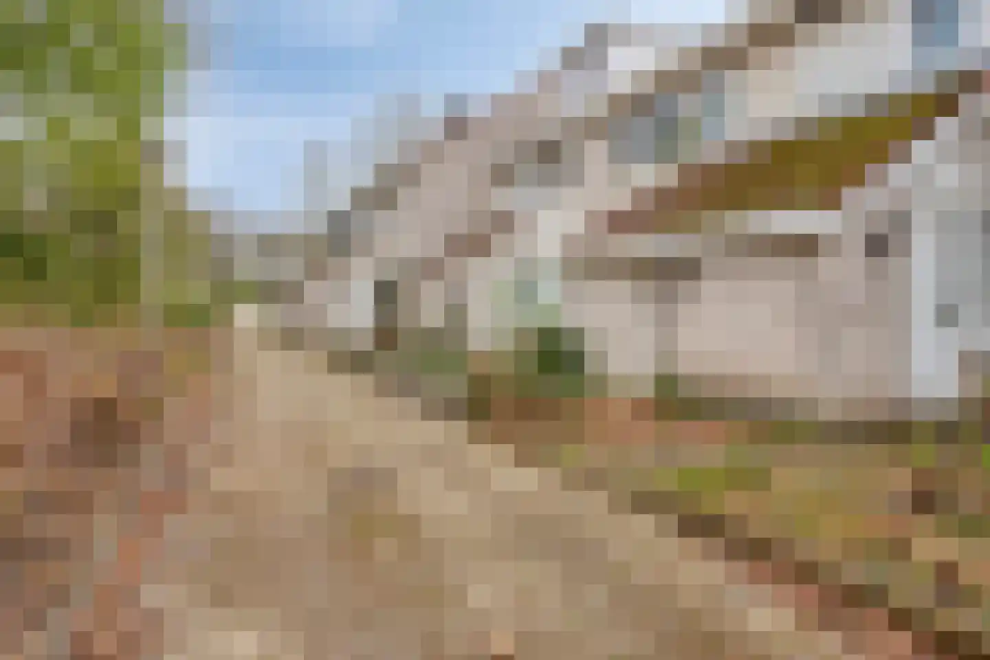 Rode Beuk 10 Halsteren thumbnail 5