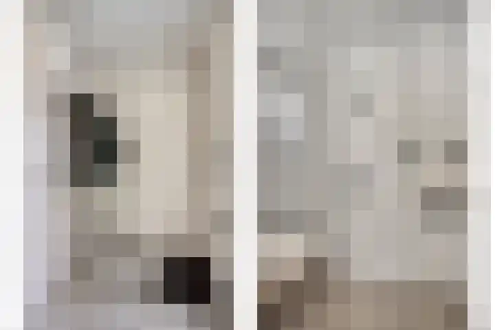Rode Beuk 10 Halsteren thumbnail 6