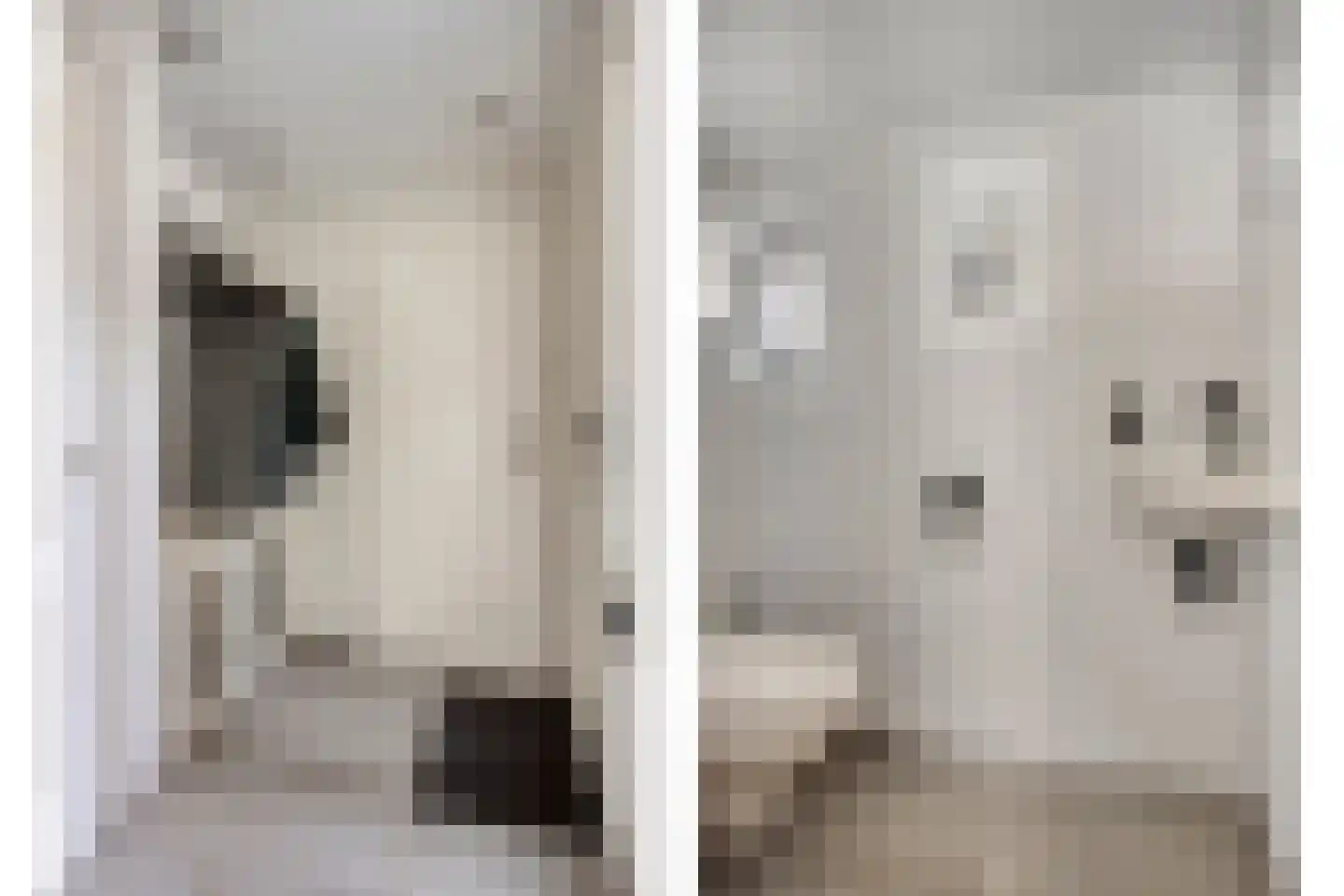 Rode Beuk 10 Halsteren thumbnail 6