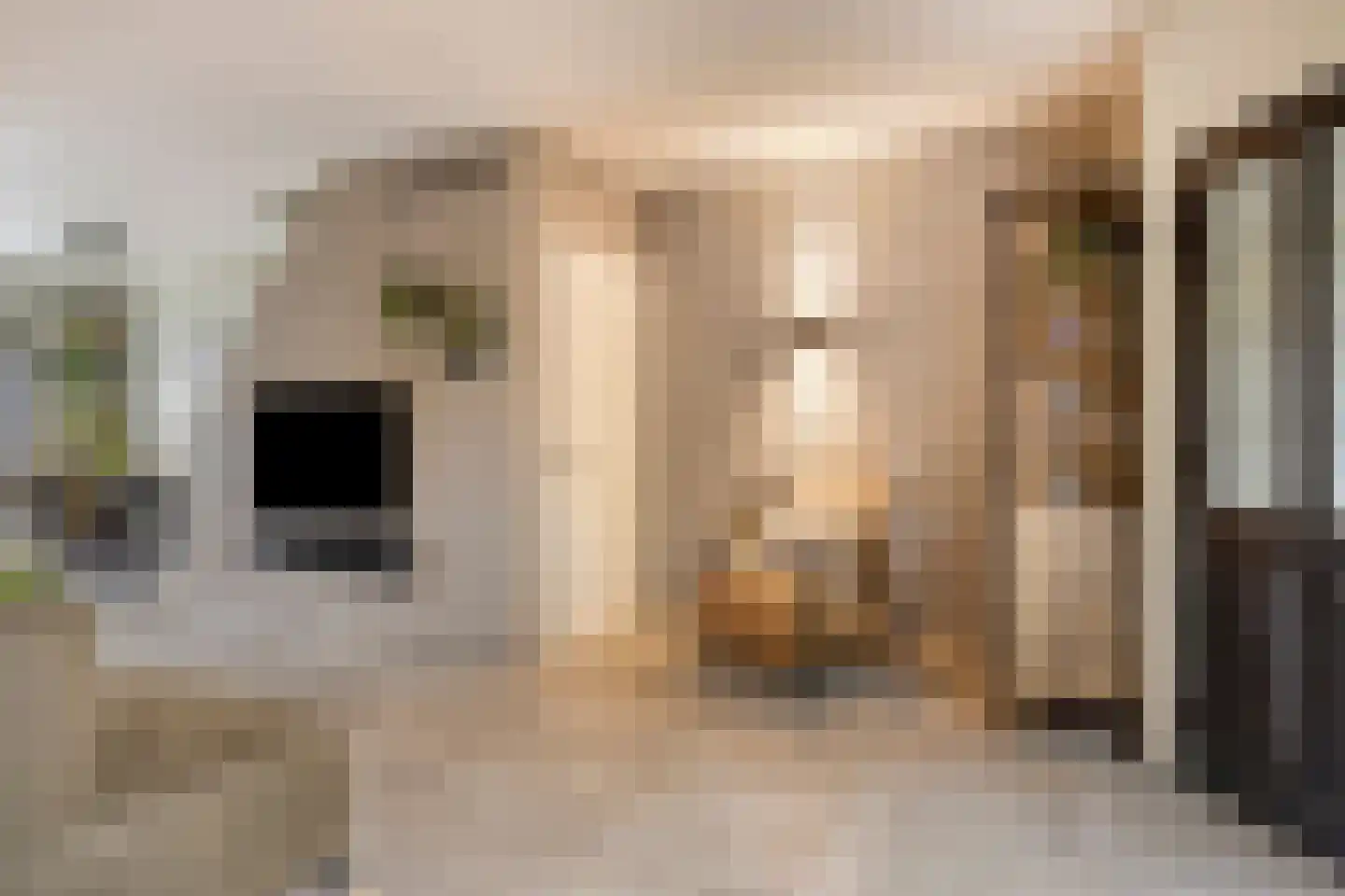 Rode Beuk 10 Halsteren thumbnail 7