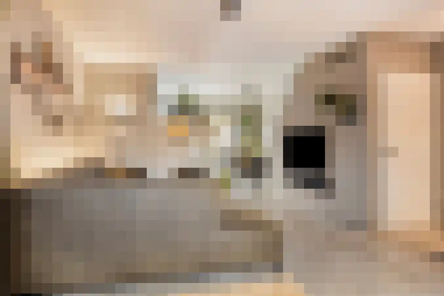 Rode Beuk 10 Halsteren thumbnail 8