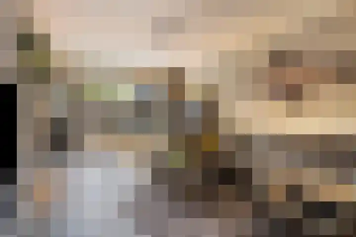 Rode Beuk 10 Halsteren thumbnail 9