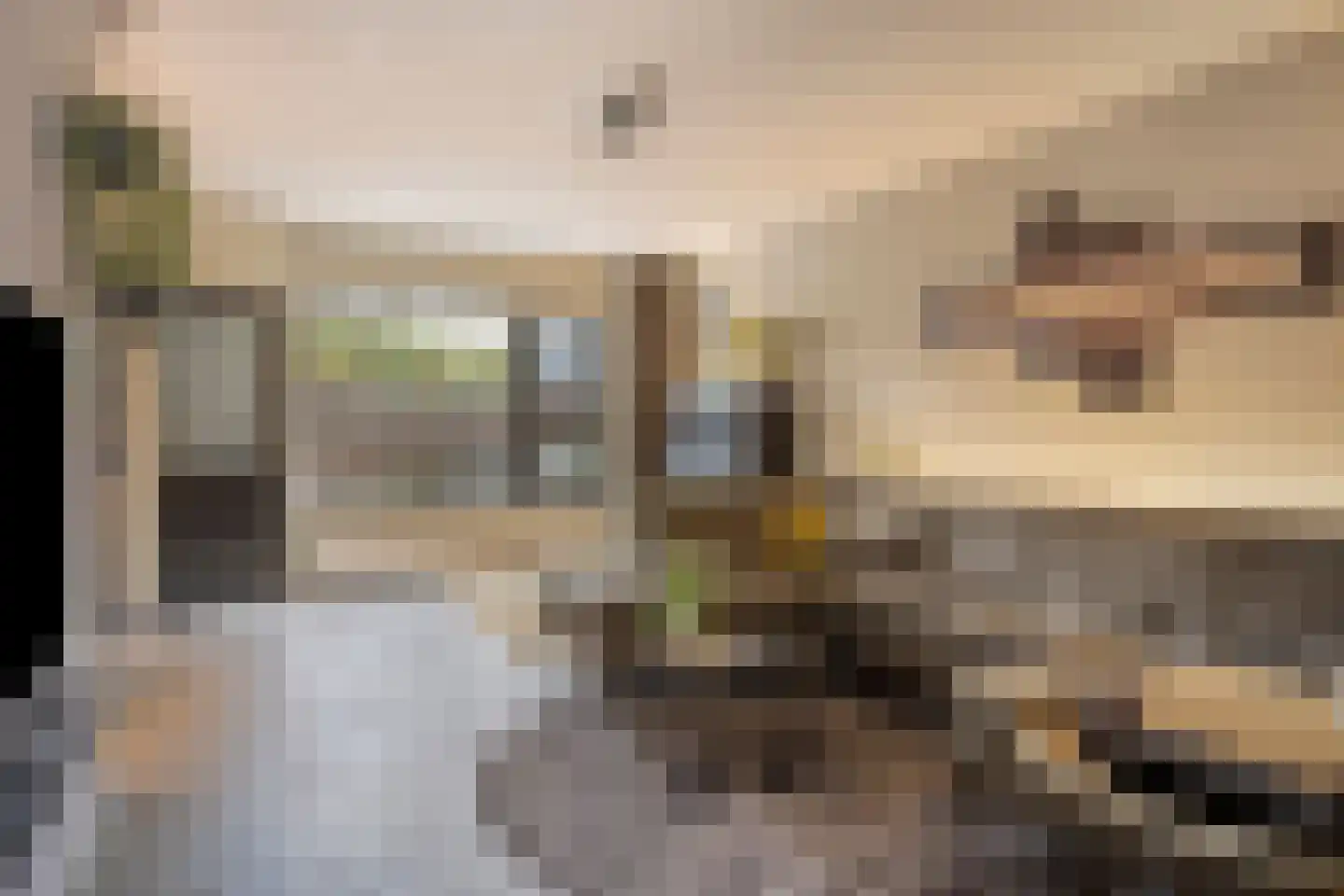 Rode Beuk 10 Halsteren thumbnail 9