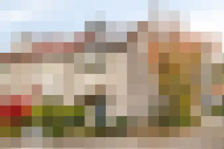 Rode Beuk 58 Halsteren