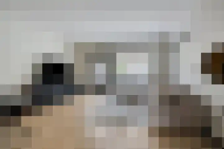 Rode Beuk 58 Halsteren thumbnail 10