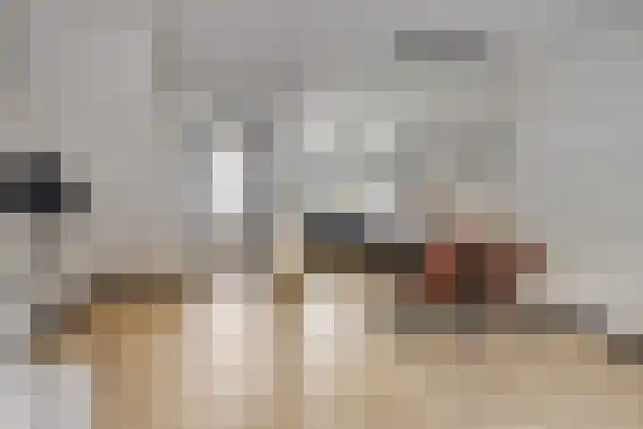 Rode Beuk 58 Halsteren thumbnail 12