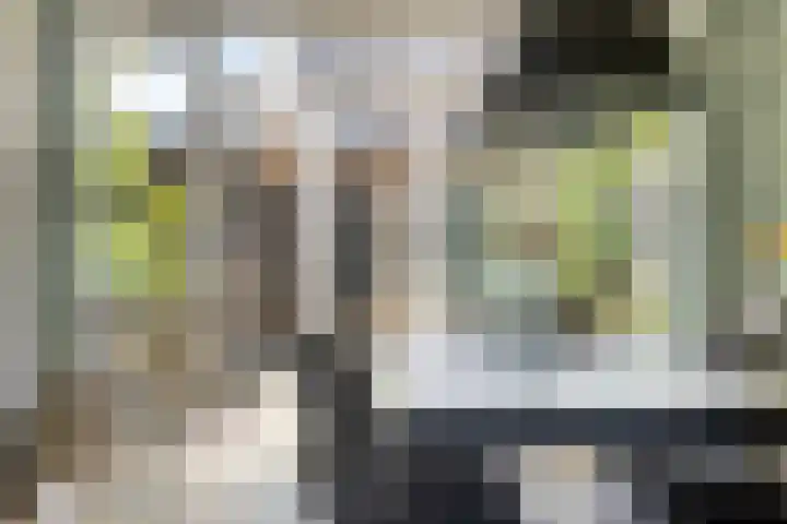 Rode Beuk 58 Halsteren thumbnail 14