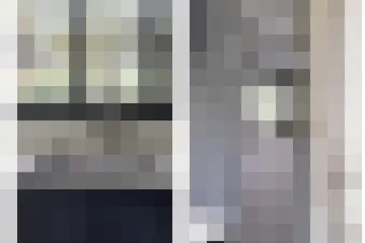 Rode Beuk 58 Halsteren thumbnail 14