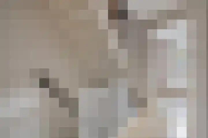 Rode Beuk 58 Halsteren thumbnail 17