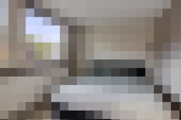 Rode Beuk 58 Halsteren thumbnail 19