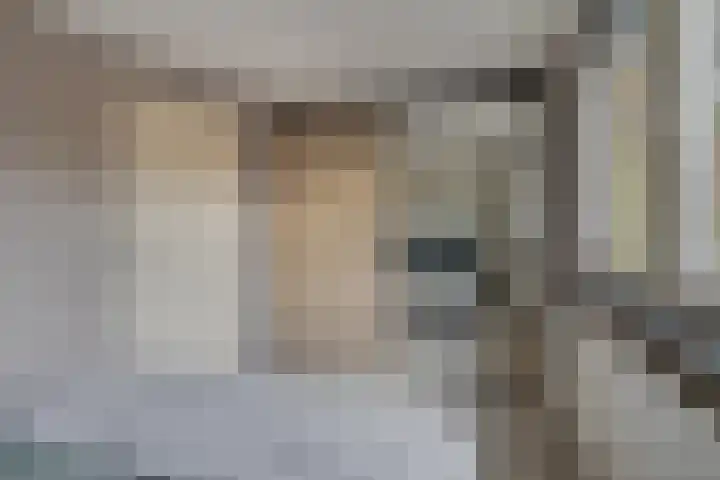 Rode Beuk 58 Halsteren thumbnail 20
