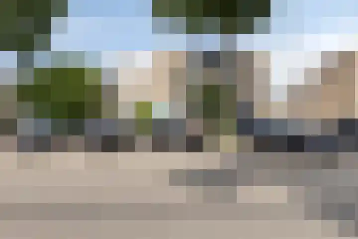 Rode Beuk 58 Halsteren thumbnail 22