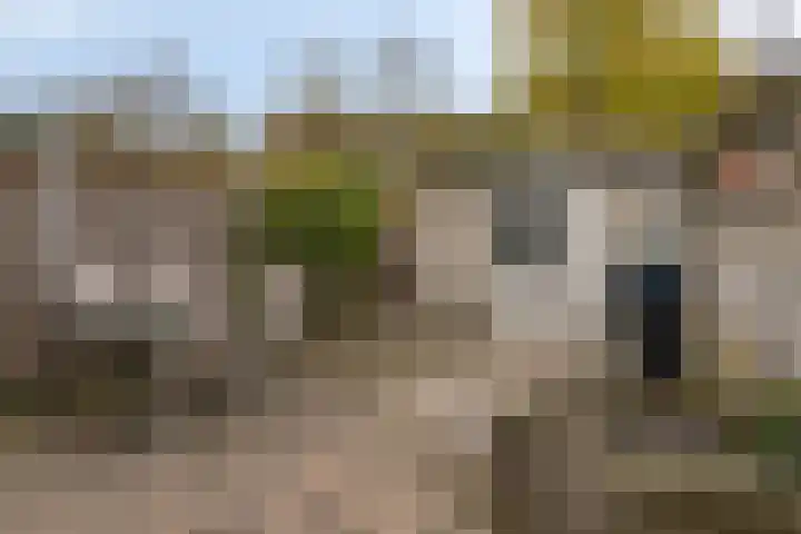 Rode Beuk 58 Halsteren thumbnail 28