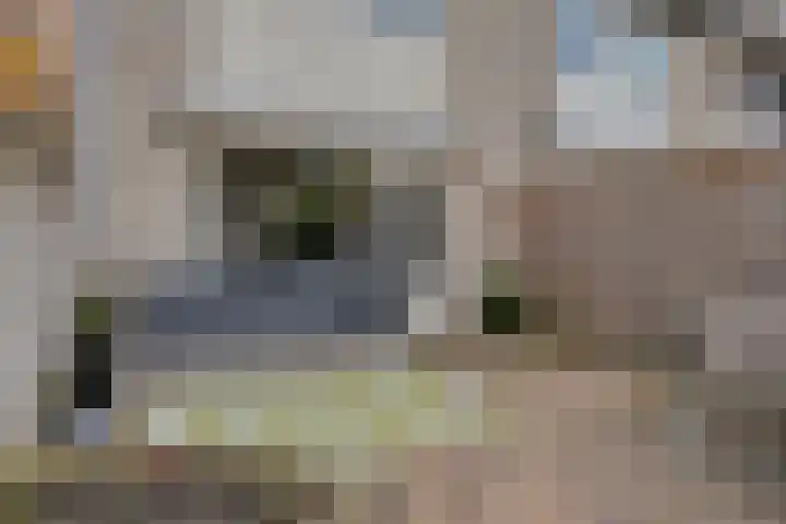 Rode Beuk 58 Halsteren thumbnail 29